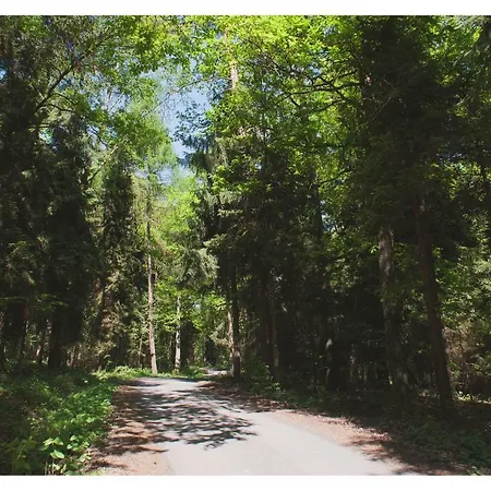 Parco vacanze Lesny Zakatek *