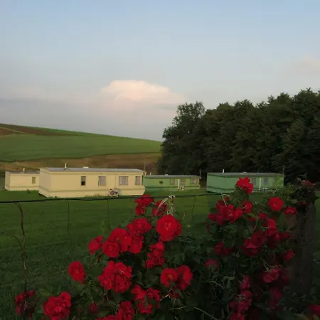 Lesny Zakatek * Radocza