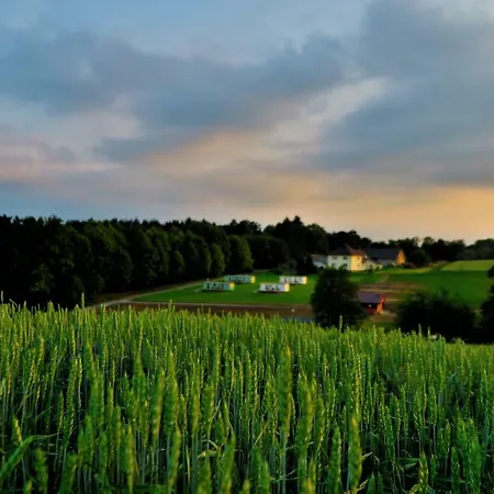 Lesny Zakatek 假日公园 *