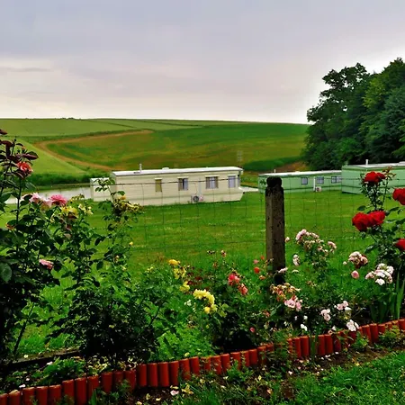 Lesny Zakatek * Radocza