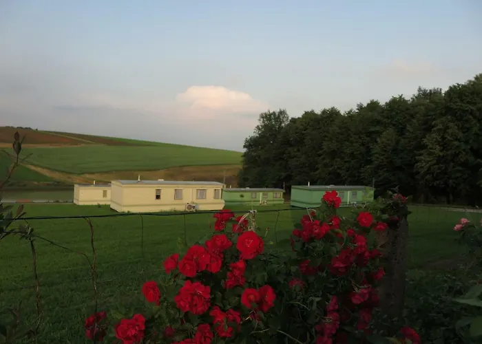 Lesny Zakatek * Radocza