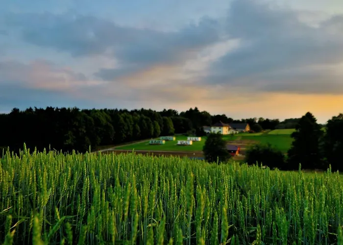 Lesny Zakatek Feriepark *