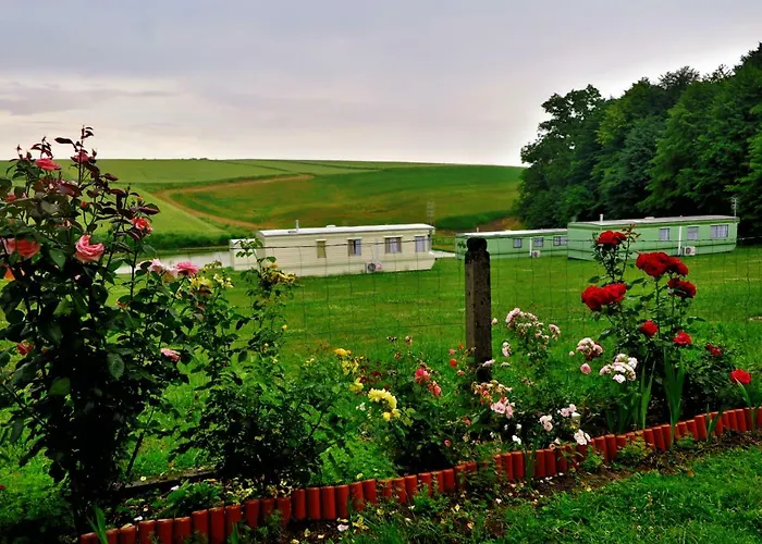 Lesny Zakatek * Radocza